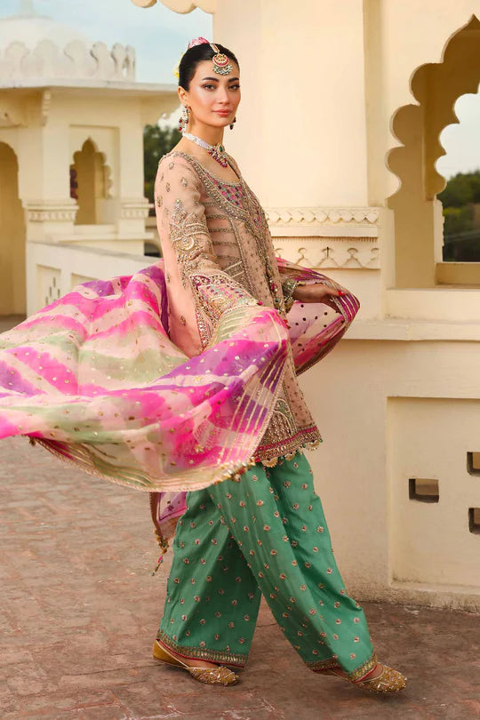 Zeenat-un-Nisa By Zeenat Zara