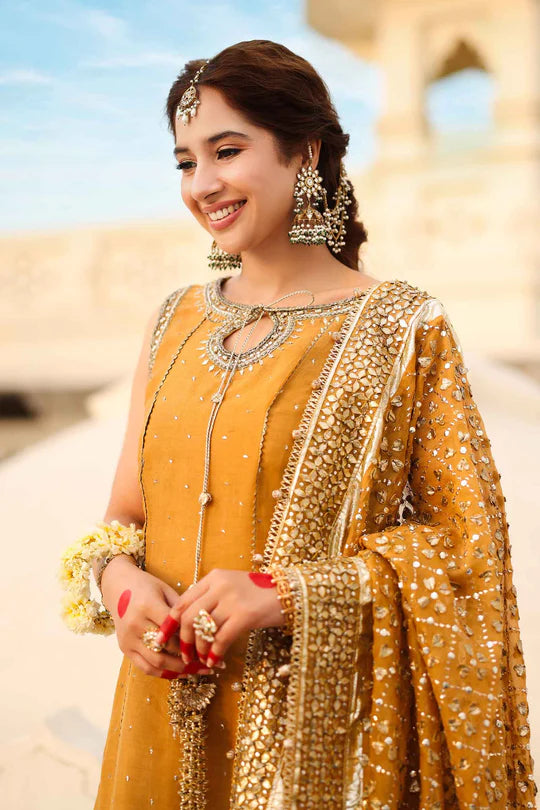 Roshanara Begum By Zeenat Zara