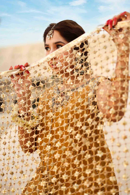 Roshanara Begum By Zeenat Zara
