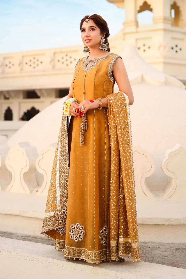 Roshanara Begum By Zeenat Zara