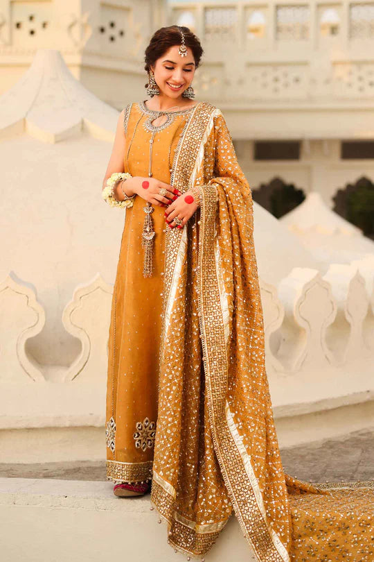 Roshanara Begum By Zeenat Zara